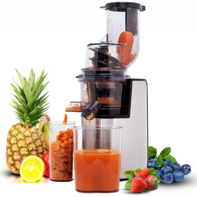 Masticating Slow Juicer Machine
